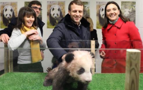 今非昔比！马克龙访华：上次百亿订单刷爆屏，这次中方连预热通稿都没有！法国总统访华