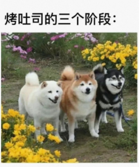 烤吐司的三个阶段