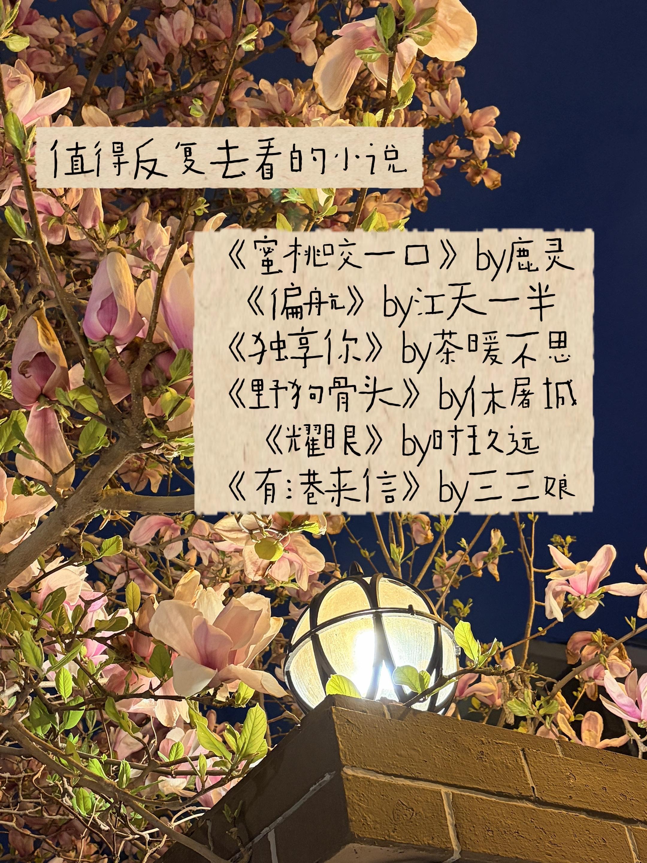 值得反复去看的小说