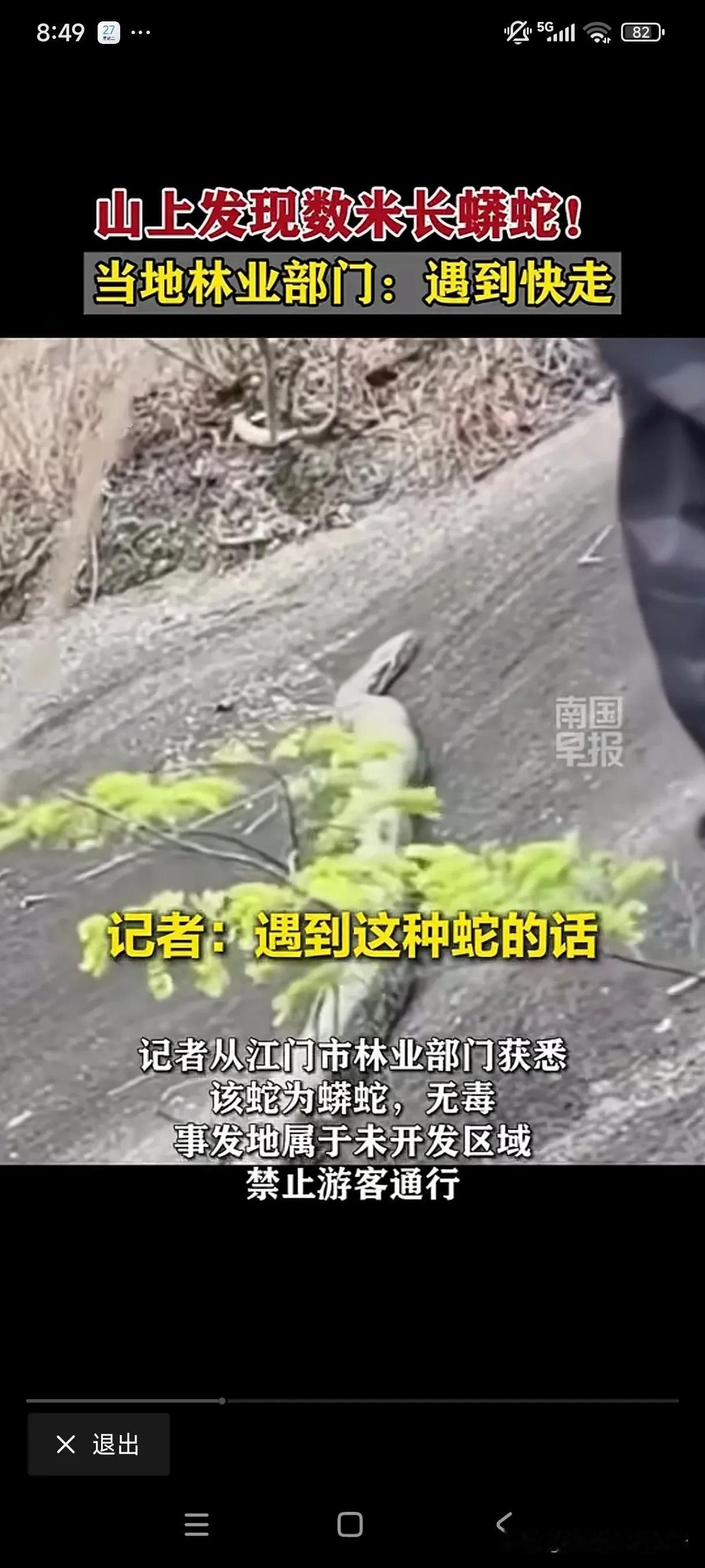 大冬天超级巨蛇出没，太吓人了！1月26日，广东江门市双水镇将军山，当地百姓去山