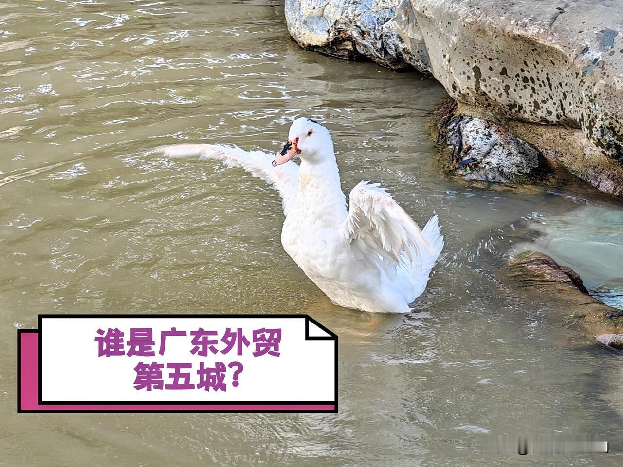 谁是广东外贸第五城？无论从进出口总额，还是出口额、贸易顺差来看，深莞广佛四市位列
