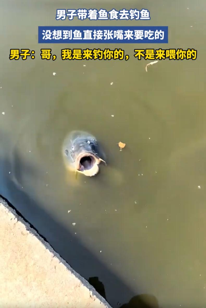 山东，一位男子河边垂钓，精心备好满满一桶鱼食，满心期待爆护丰收，结果全程无鱼咬钩