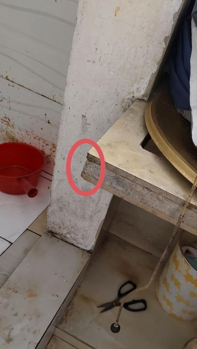 刚刷到个“痛惨了”的帖子，直接给我整破防了。谁还没个难受的时候啊，白天装没事人，