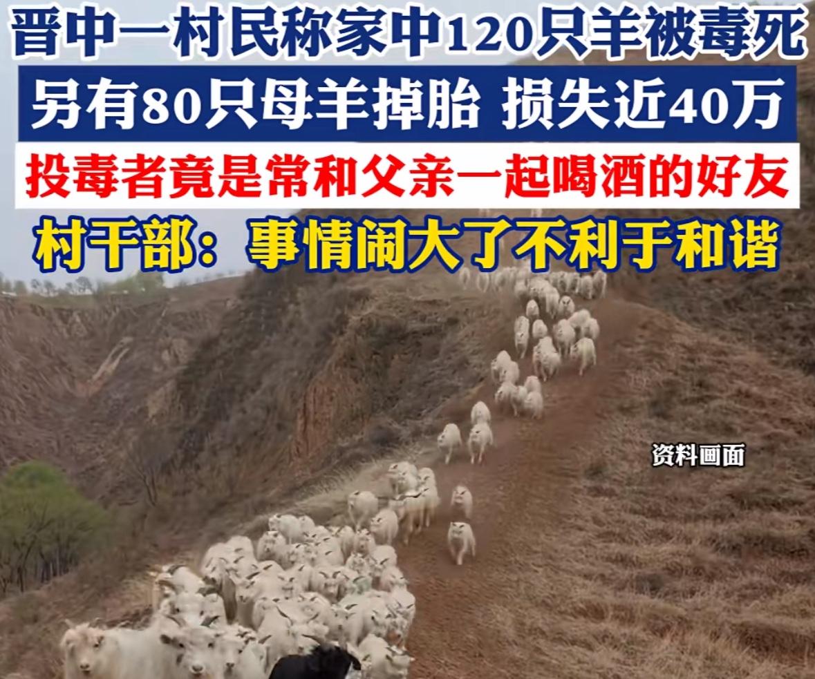 酒桌上的兄弟，竟是杀你生计的屠夫？山西这起“毒羊案”太扎心！这事儿就发生在山西晋
