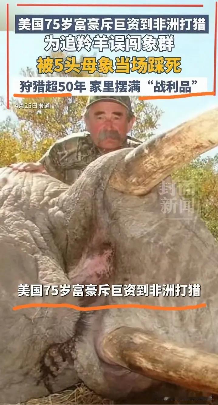 瓦罐常在井上破，将军难免阵前亡。美国icon资深猎人兼百万富翁多西奥，近日在非洲