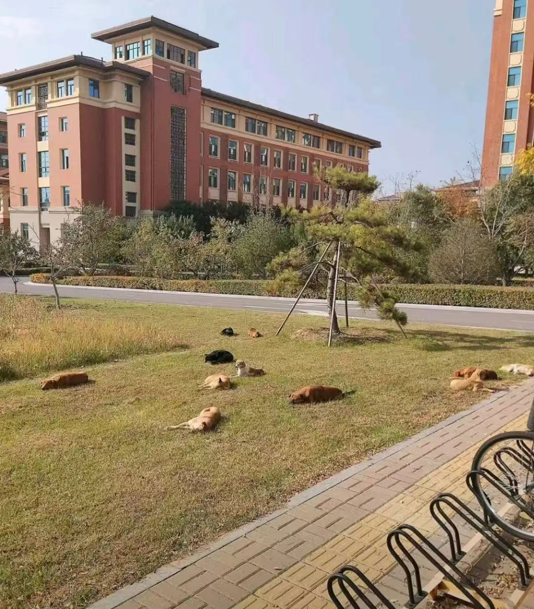 这就是山西的午睡文化....