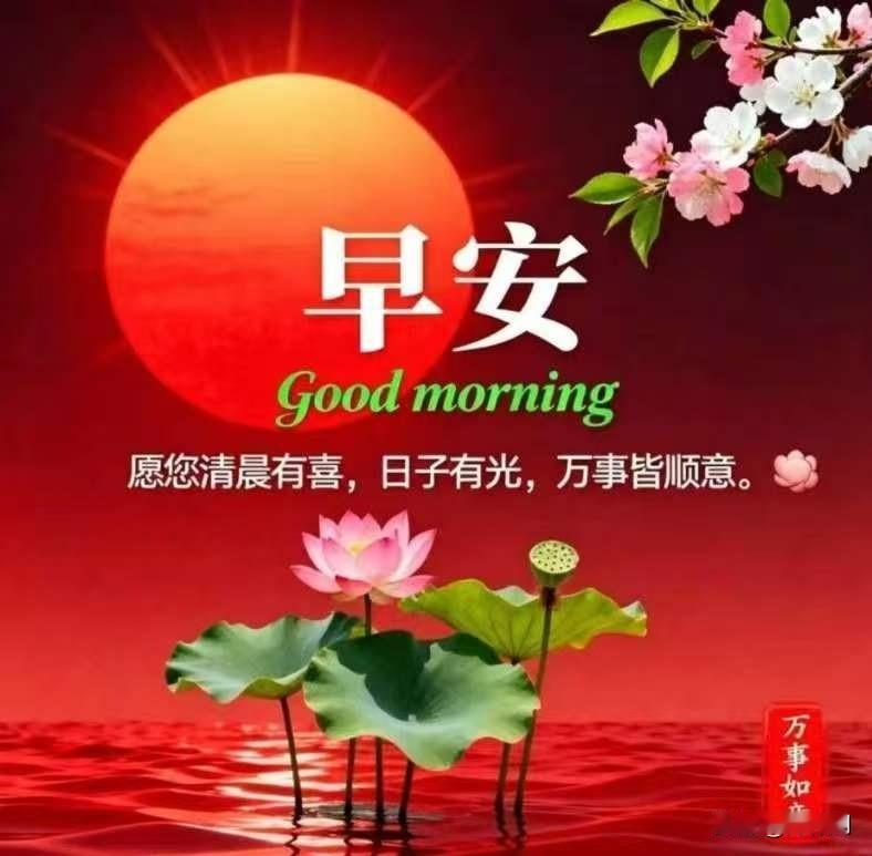 [比心]早安心语[比心]星稀露重晓光浮，啼鸟穿林破宿幽。檐外桐花沾露重，窗