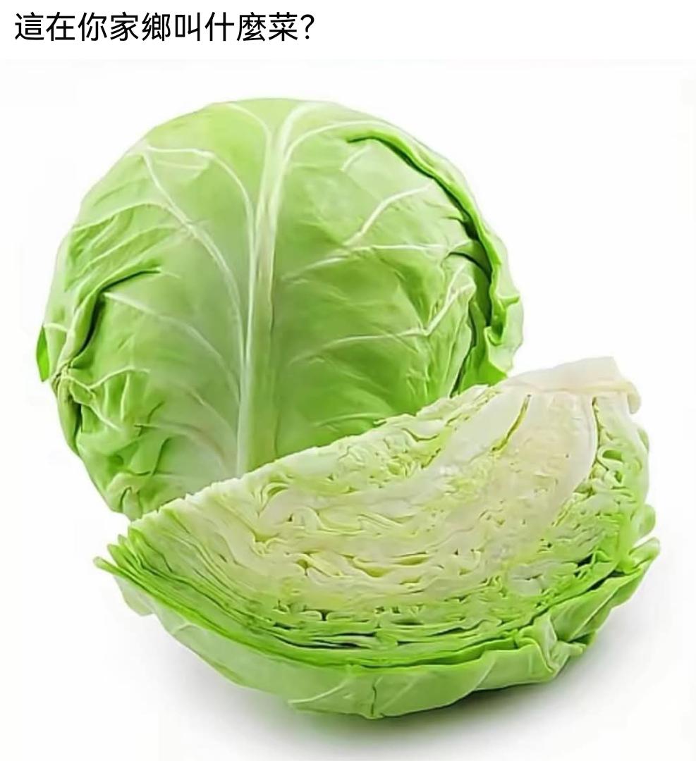 这个菜在你们那边用方言或者土话叫什么？