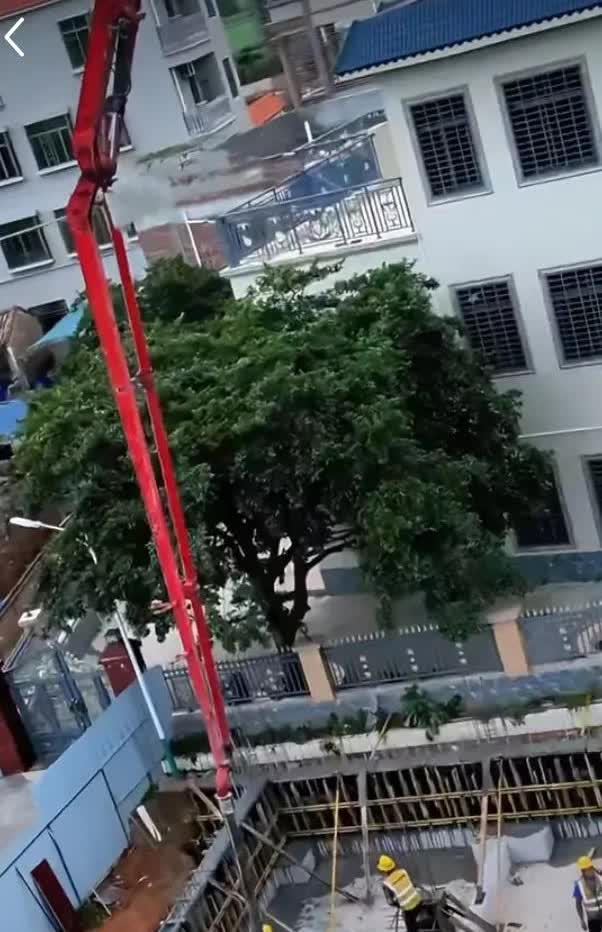 全红婵的邻居真是一个令人作呕的人，这么恶心至极了。他居然不愿意修剪挡住全