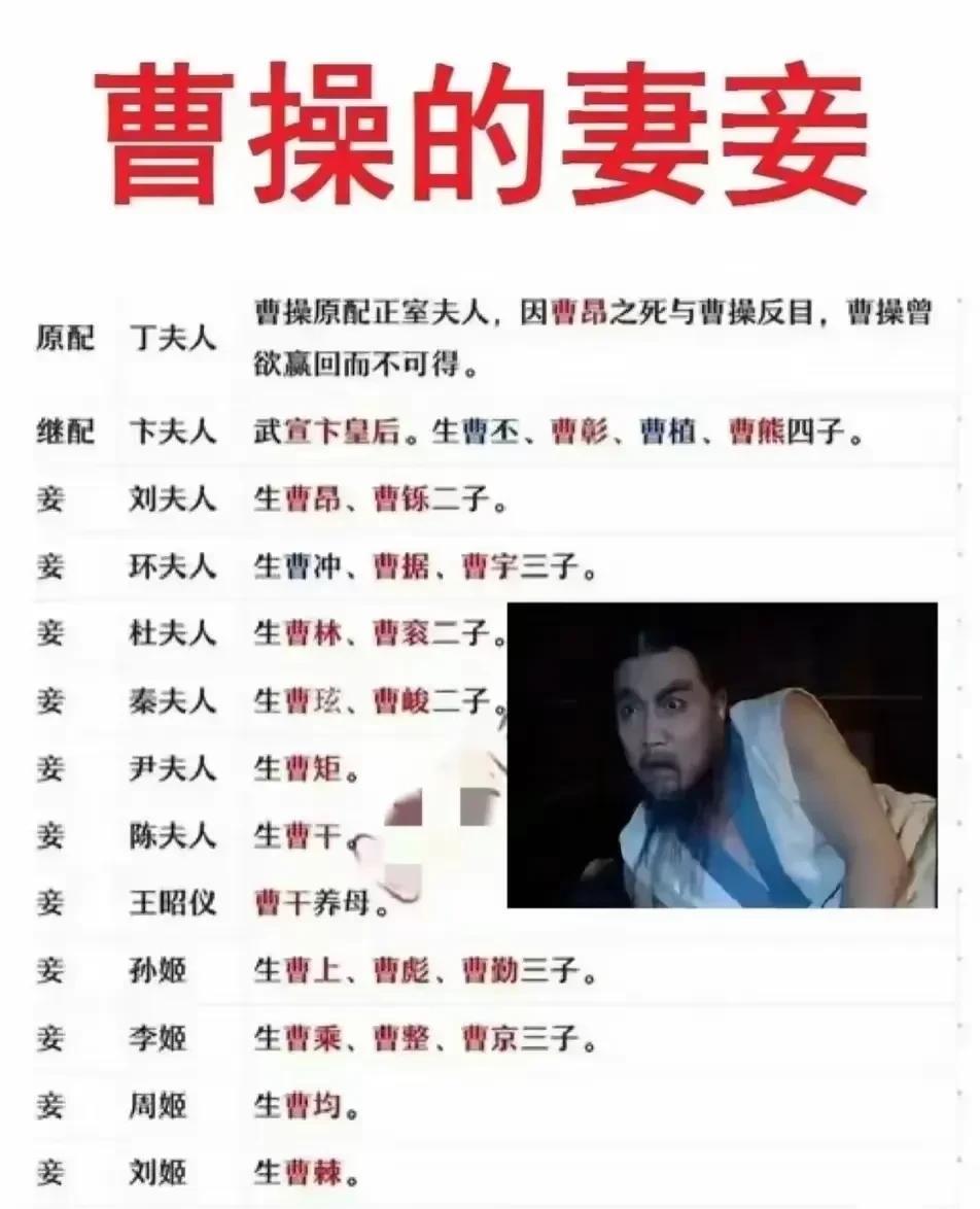 大丈夫生于世间，当如曹操