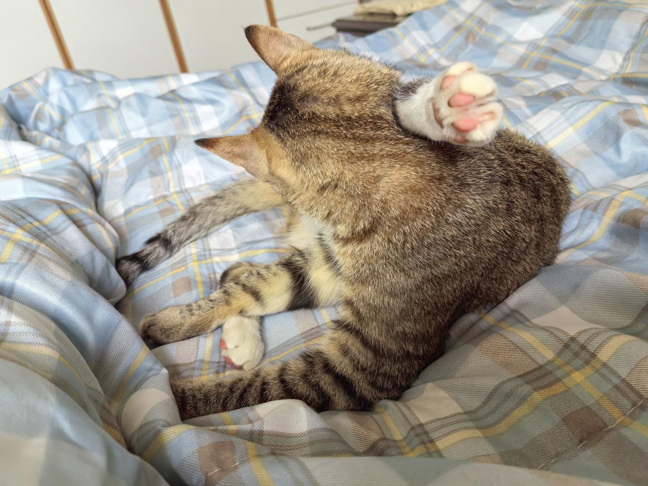 这是什么姿势啊？