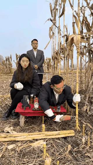 这是真专家，工作起来一丝不苟！分毫不差！您觉得这样干工作怎么样？