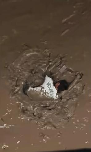 男子从温州大桥跳下自杀，结果下面是淤泥，死又死不了，爬又爬不起，还有一座桥的人在