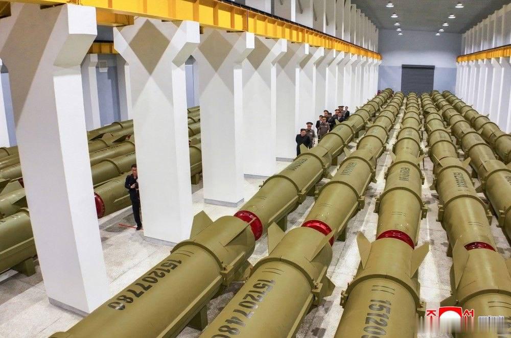 昨天金同志视察一处参与生产火星-11/KN-23型战术弹道导弹系统的国防工
