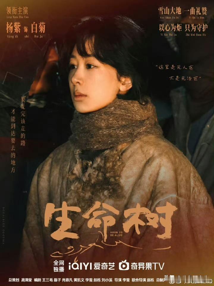 专注和坚持真的有用，不信你看杨紫！2025微博视界大会年度推荐名单公布，