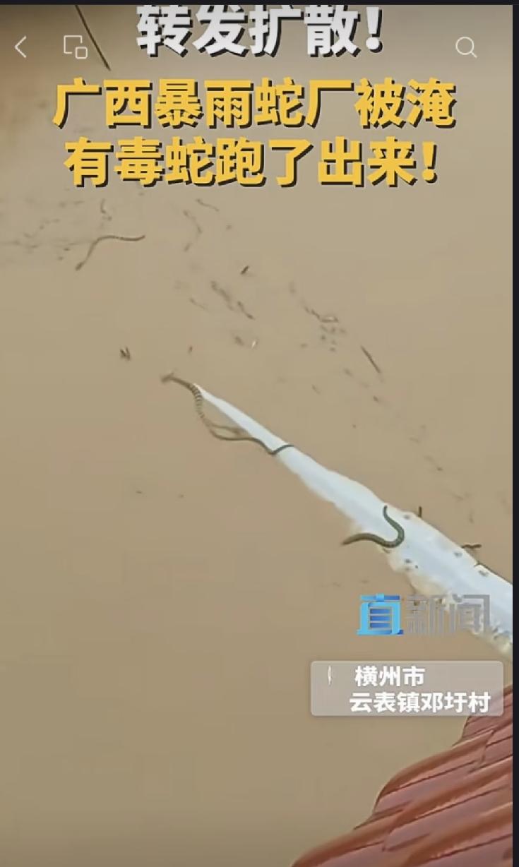 广西这场洪水，真是把人往绝路上逼！本来大水漫灌房子和田地，谁知道养蛇场也给冲开了