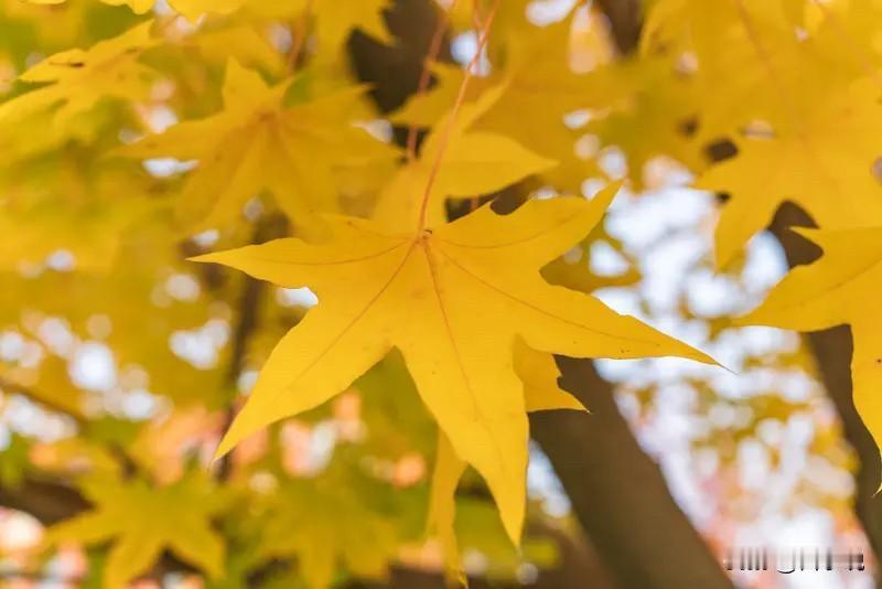 体制内有这十个特征，说明已经活得很明白了！​​1.非常珍惜“羽毛”，决不乱搞男