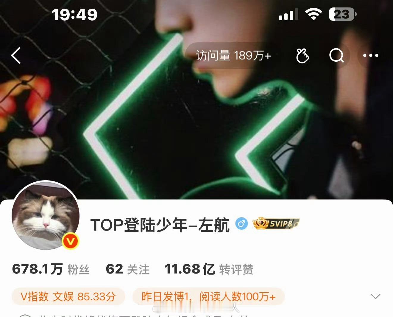 左邓换头像了都是猫咪🐱左邓情头