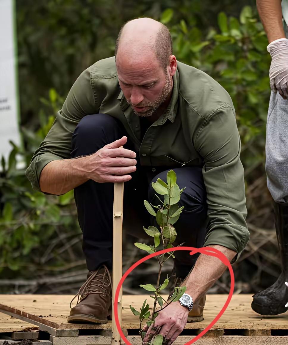 基因很奇妙，威廉王子是越来越像戴安娜了！褪去王子这一层光环，威廉当个普通人，似