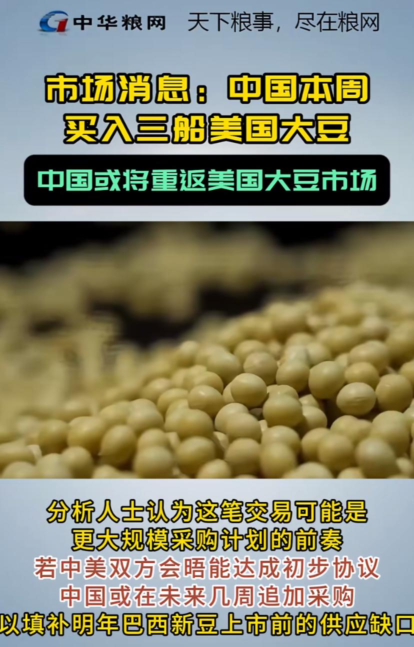 中国突然出手了!10月29号中粮直接下单18万吨美国大豆,芝加哥市场立马炸了