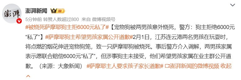 被烧死萨摩耶狗主拒6000元私了恶狗咬死咬伤了人也从来没有看到这样的流量，两个