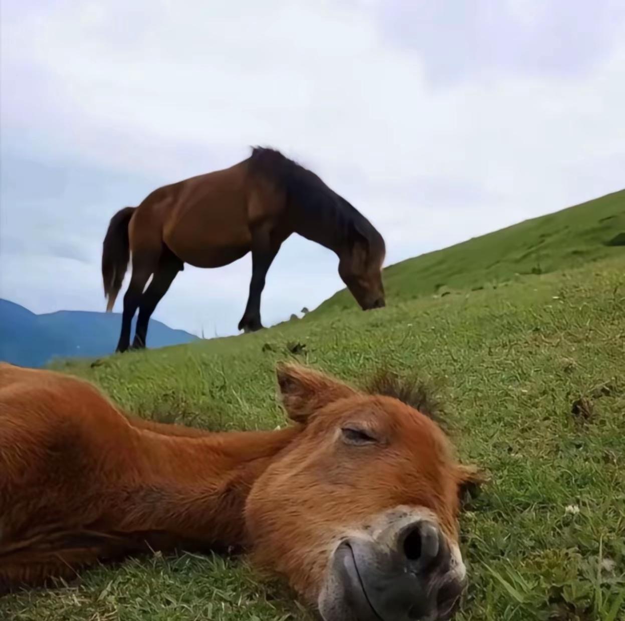 以前也是个喜欢旅游的人，现在早就没有兴趣了前些年，带着孩子去了云南，四川，湖南
