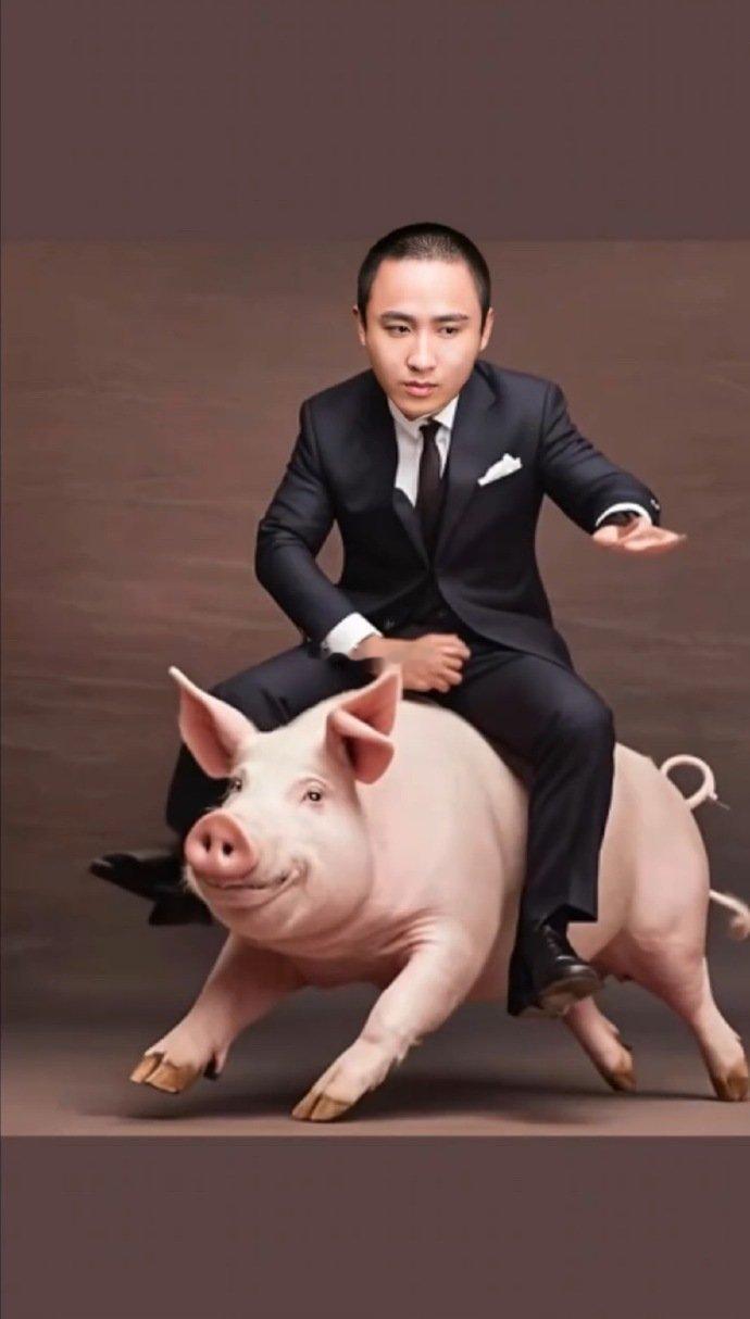 散打哥骑的什么猪？​​​