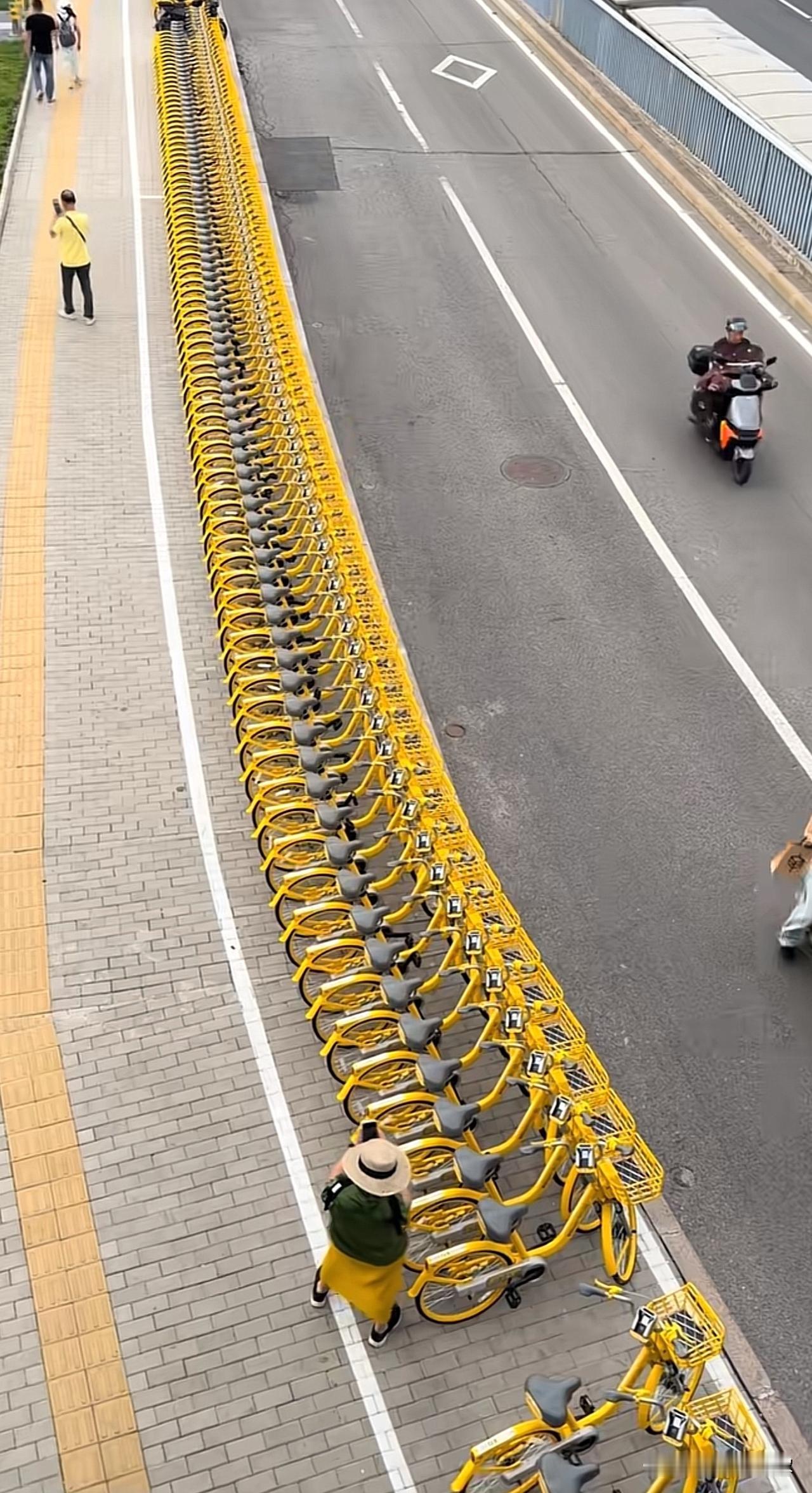 北京街头的共享单车[赞]