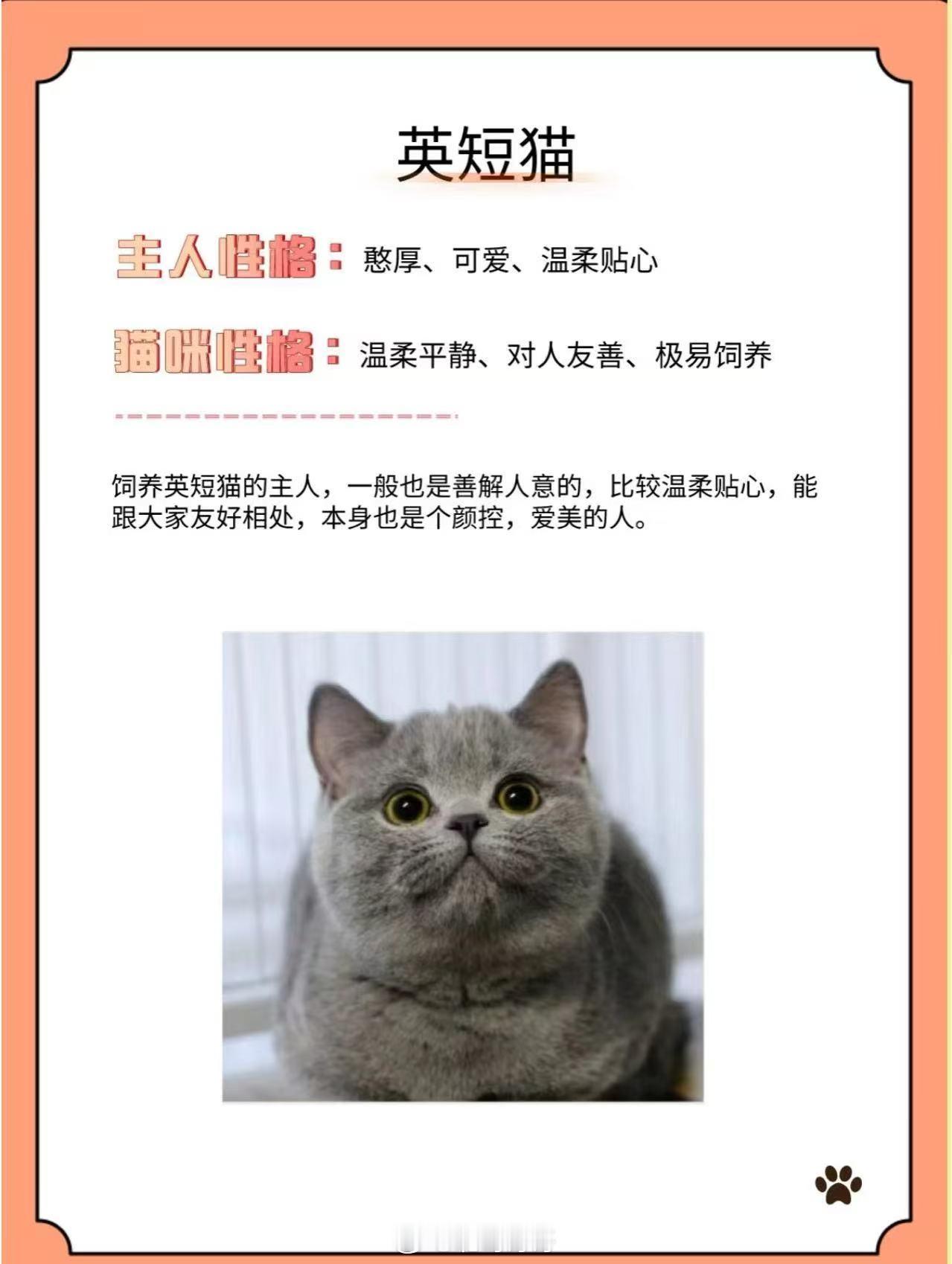 养猫人和养狗人的区别belike猫咪的性格随主人！你养的猫暴露了你的性格，你知