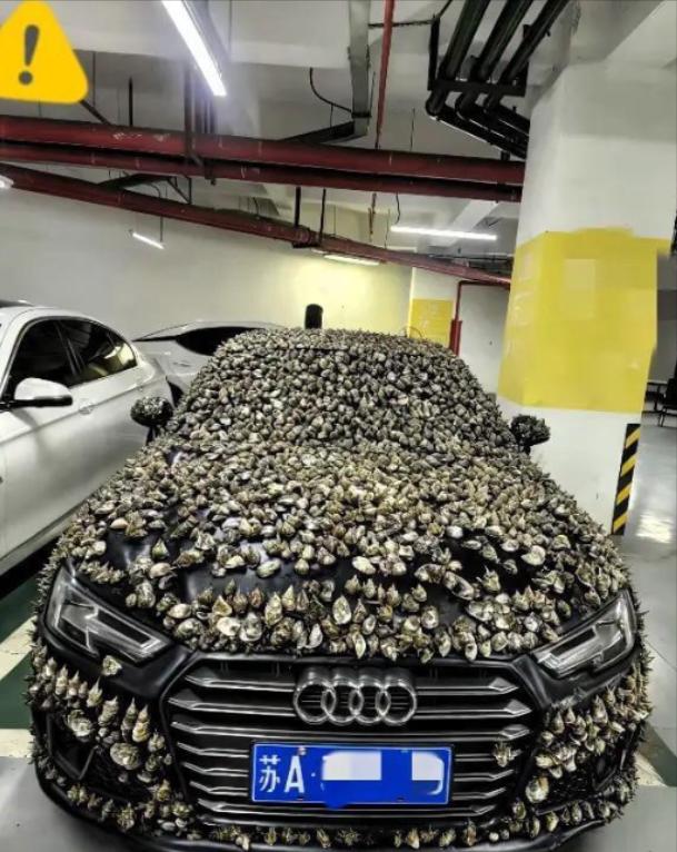 “一分钱不要，也得让你长记性！”业主车位被霸占10天，一怒之下做了这种事。他没有