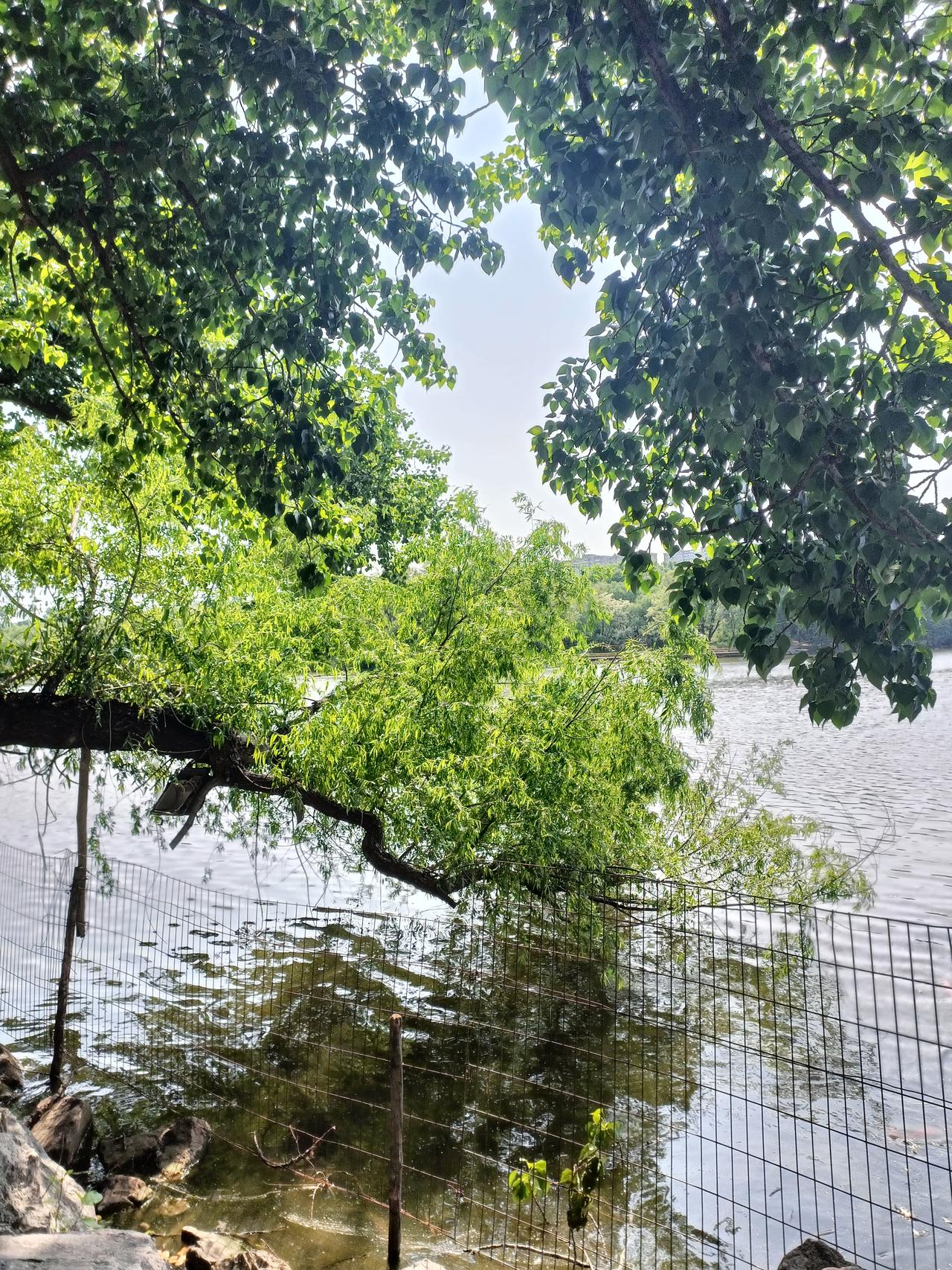 人生就像一场充满未知的旅程，风雨在所难免。要坦然面对，乐观心态很重要。苏轼一生多