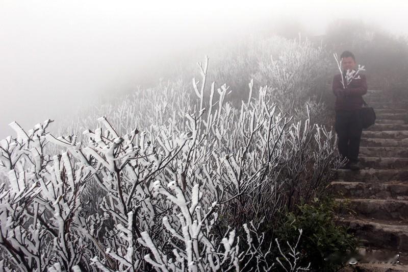 6亿阅读量的广东湿冷把“东北”老外逼疯了话题，简直太有悬念了！“东北”老外，本以