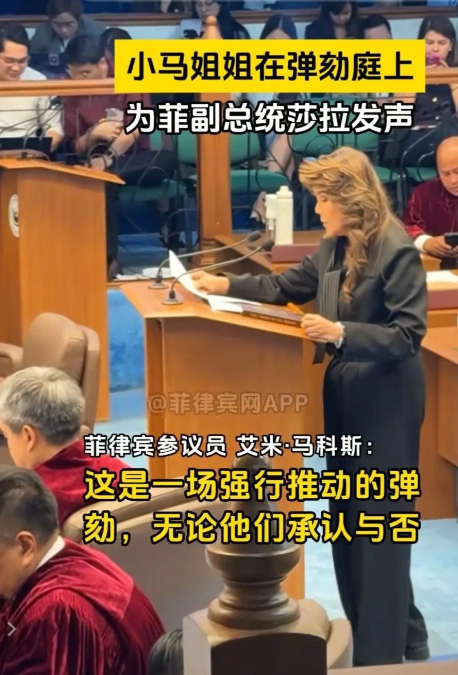 小马科斯姐姐艾米在弹劾庭上为莎拉发声，一针见血指出发起弹劾之人的目的，她说，这样