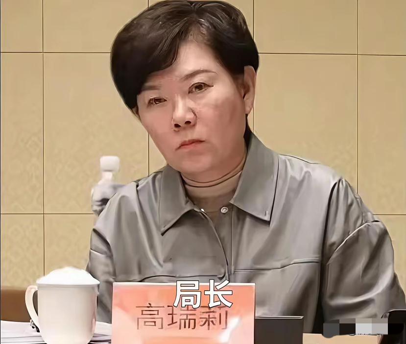 高瑞莉被抓！宁夏回族自治区纪委监委发布权威通报。高瑞莉有着丰富的跨领域工作经
