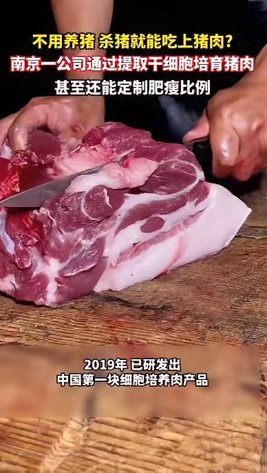又要变天？南京科技公司“种”出猪肉，不养猪不杀猪，几天就能吃！提到吃肉，千
