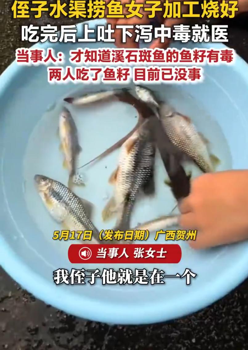 广西贺州，一男孩在水渠捞了几条鱼，到家后姑姑就给做了菜，一家人大快朵颐后，姑姑却