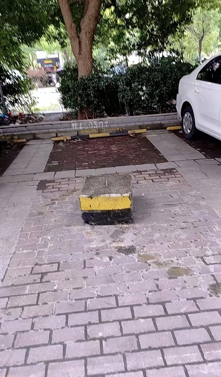 今天看见新鲜事了。我们小区有人把自己的车位给焊死了。就是那种粗钢筋焊的墩子，连车