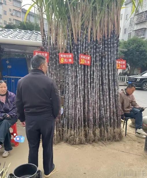 今天路过个甘蔗摊，直接给我整懵了！同一家的甘蔗，居然标了8块、10块、12块三种