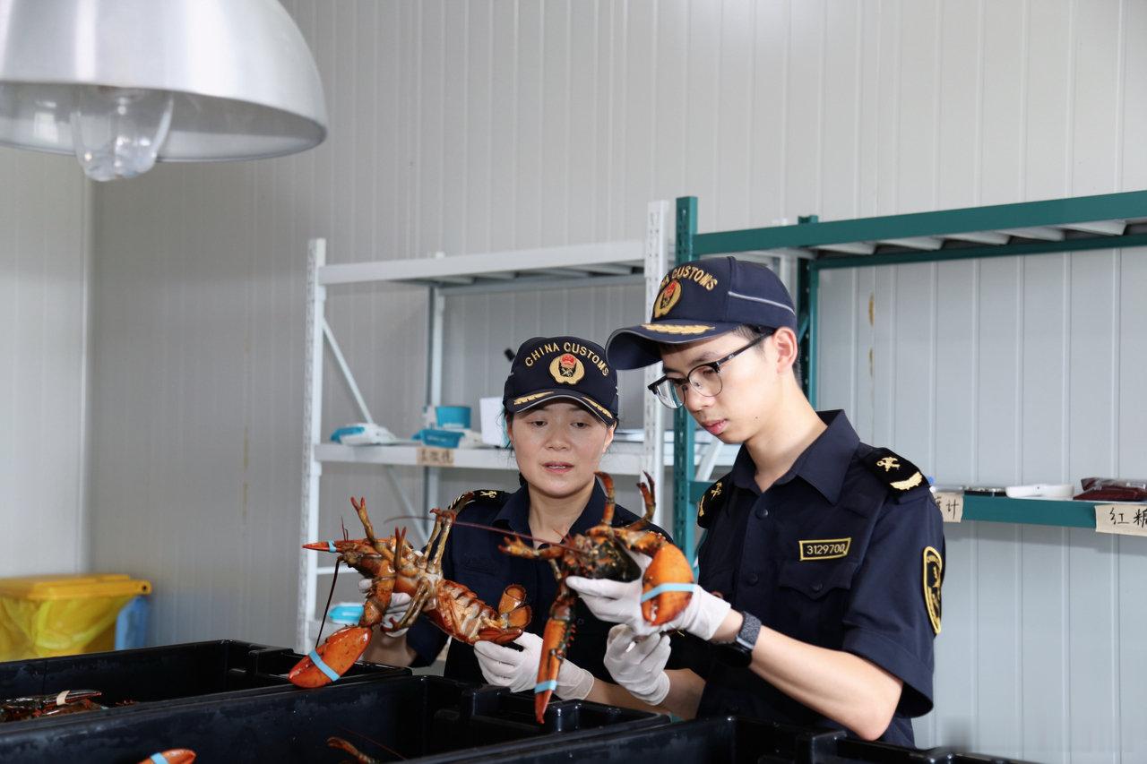 宁波空港上半年外贸数据亮眼翻倍增长今年上半年宁波空港口岸进出口总额达197.6