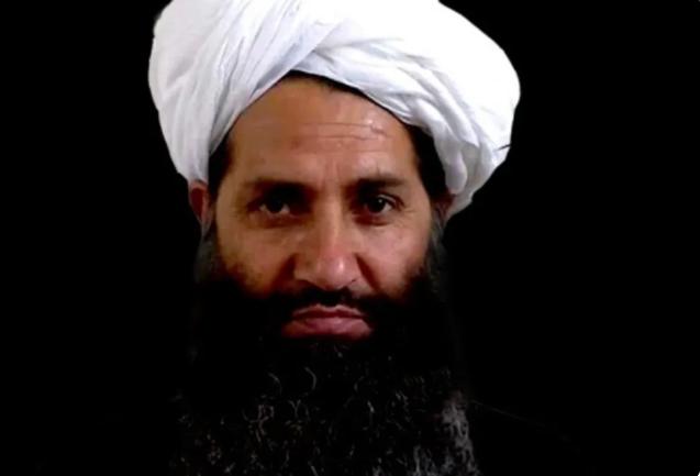 阿富汗塔利班“整顿职场”，满屏外来语太扎眼，统统给换成自己的土特产！2026