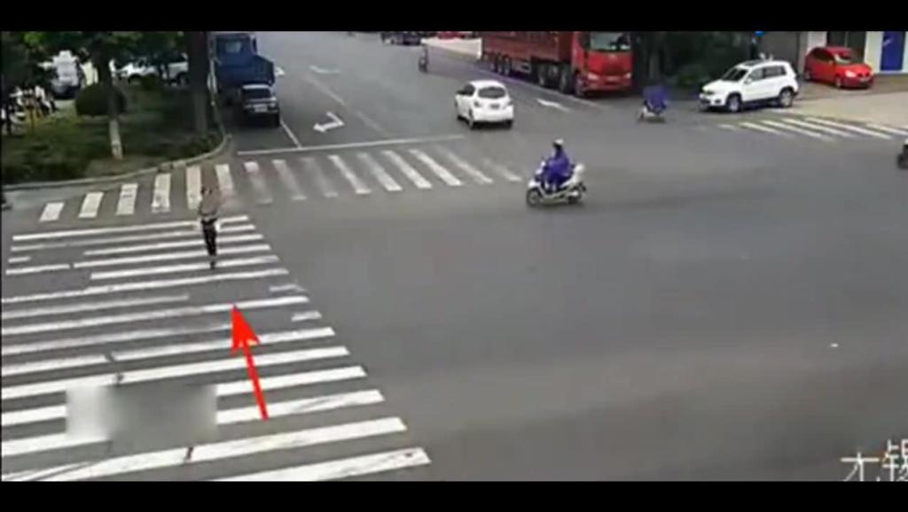 我是汽车小司机简谱_我是汽车小司机图片