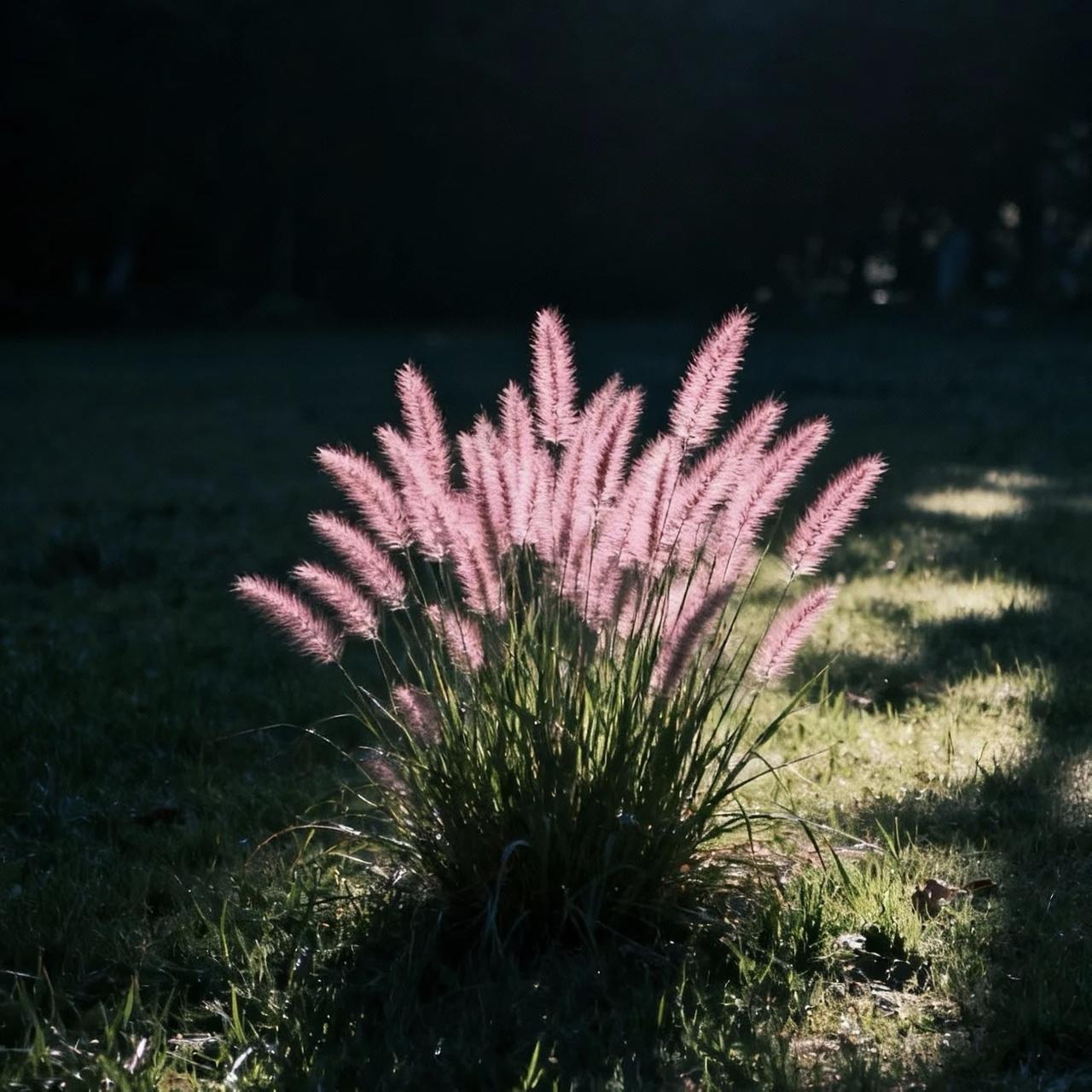 看到一段话很有感触：“20年后中国丧葬将会转变。很多独生子女对待死去的父母，基