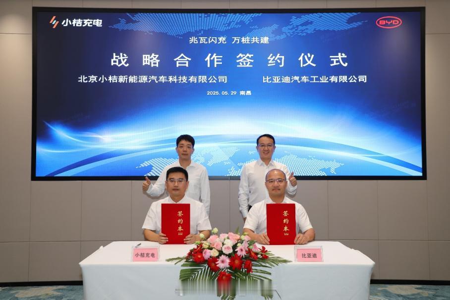 啊？比亚迪又闷声干大事啦，直接和小桔充电一起建10000座兆瓦闪充站！而且不