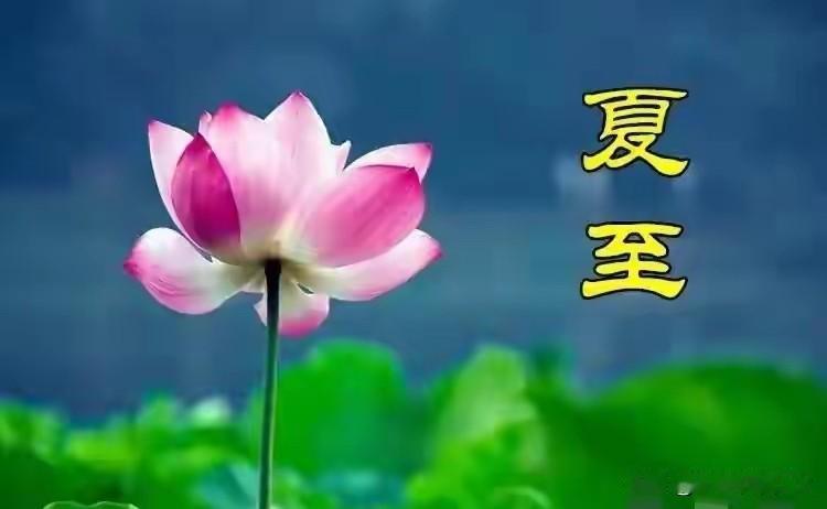 明日夏至，有空没空，记得：1不洗，2不去，3不吃，传统莫忘明天就是夏至，白