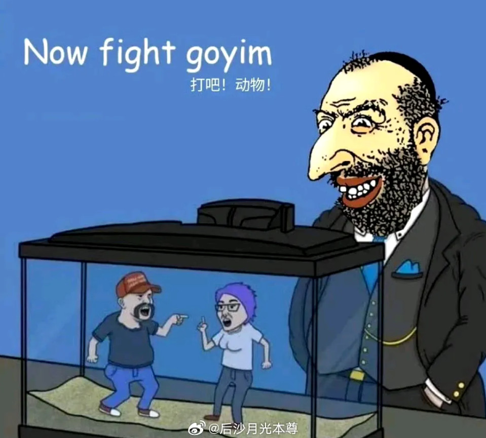 美国漫画：有两个人在箱子里打架。戴红帽子的代表共和党的MAGA。染紫色头发，