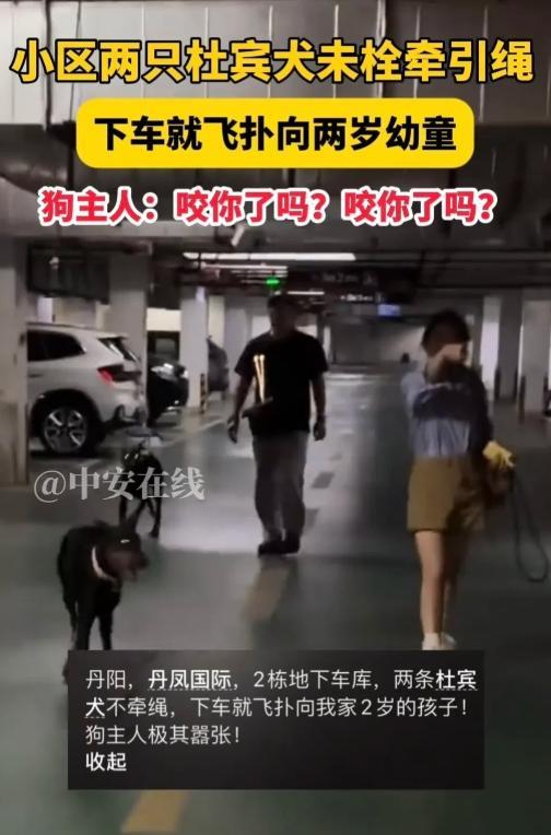 江苏镇江，一对夫妇在小区车库内刚抱下2岁儿子，两条未拴绳的杜宾犬突然猛扑过来。妻
