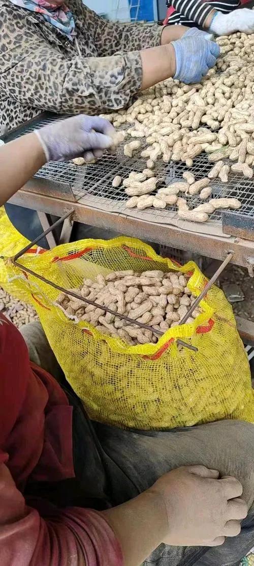 不知道你们发现没有，现在南阳农村的小作坊，加工厂啥的都变多了？去集上逛一圈，不是