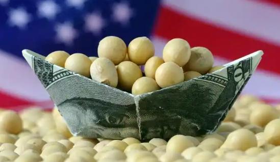 美国大豆为什么非要卖给中国？其实，站在美国的角度，三年不卖给中国大豆，表面上只是