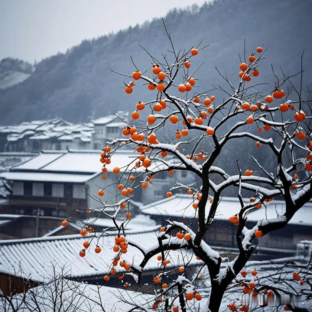 人过80岁后，活着没几个人在意自己，原因都在这里人总是要老的，人一旦老了，年过