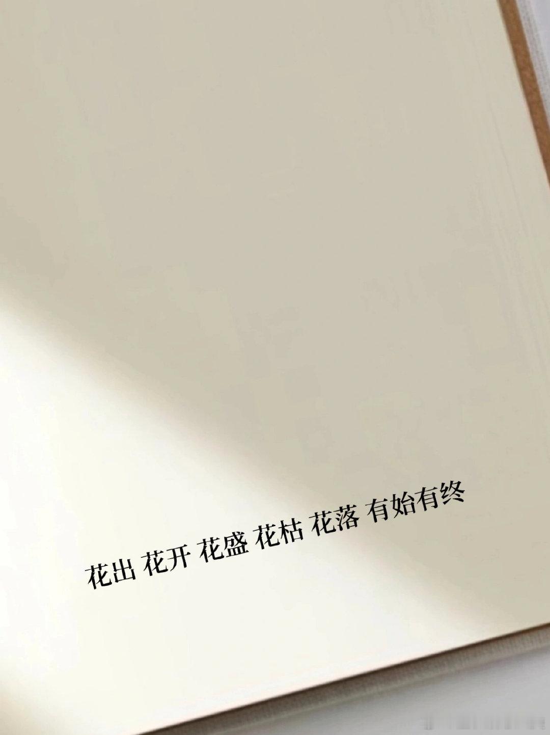 像告白也像告别的文案